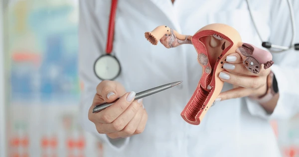 Doctor using a model to explain the vaginal treatment area for TempSure Vitalia non-invasive rejuvenation procedure